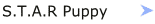 S.T.A.R Puppy Program
