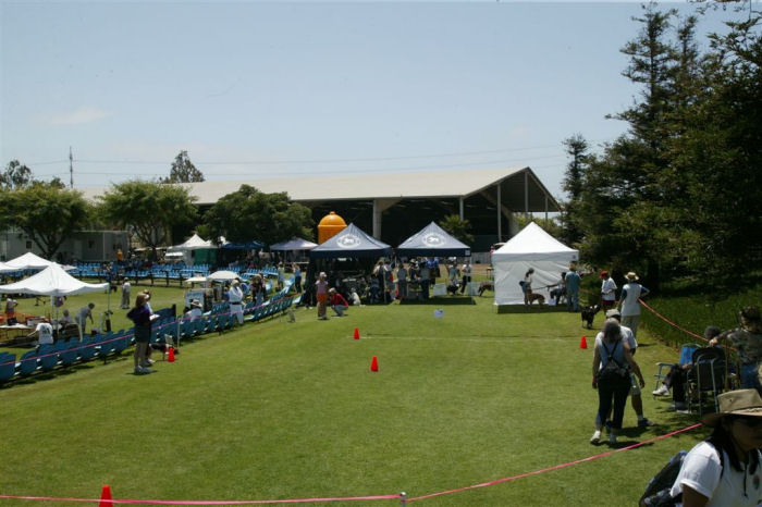 Overview of Crowd